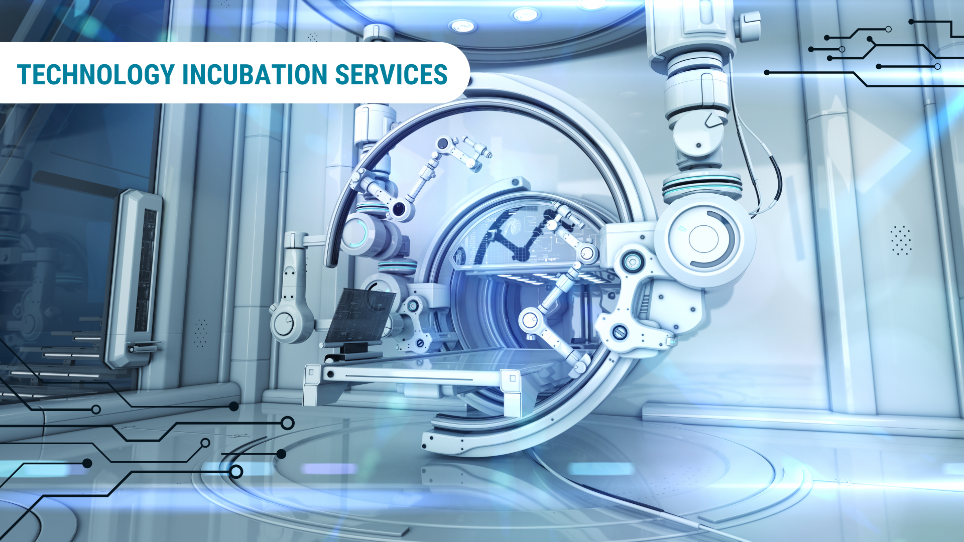 Cutting-Edge Technology Incubation Services for Future Growth