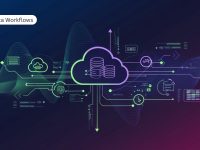 Custom Data Workflows
