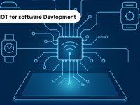 SMART IoT in software development